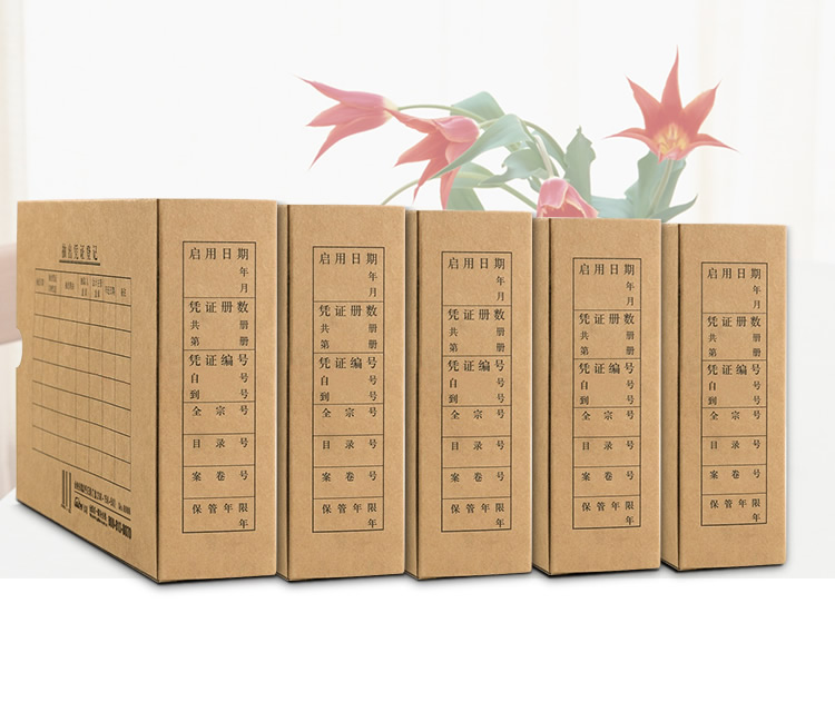 金典A5会计档案凭证盒 