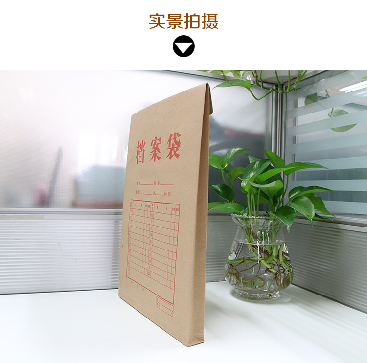 金典10只装加厚牛皮纸档案袋